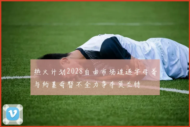热火计划2028自由市场追逐字母哥与约基奇暂不全力争夺莫兰特