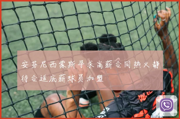 安芬尼西蒙斯寻求高薪合同热火静待合适底薪球员加盟